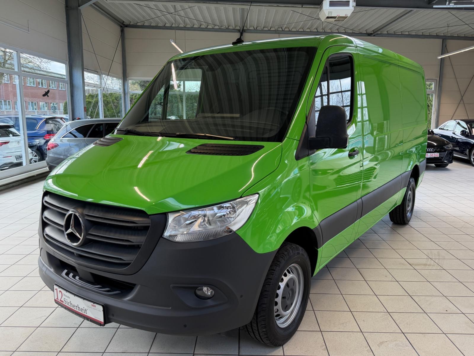 Mercedes-Benz Sprinter III Kasten RWD 317 CDI /360°/Totwinkel
