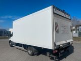 Iveco Daily 72C21HA8/P Kühlkoffer Kress,ThermoKing 300 - Offers matching your search criteria
