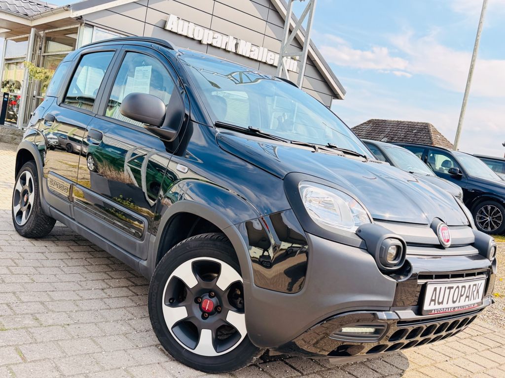 Image of Fiat Panda