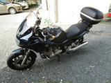Yamaha XJ900s - Offers