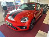 Volkswagen Beetle Cabriolet Sport/R-Line*Xenon*Kamera* - Volkswagen Beetle: Leder