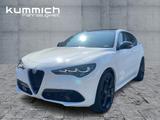 Alfa Romeo Stelvio TRIBUTO ITALIANO 2.0 Turbo 16V 280PS - Alfa Romeo Stelvio Tageszulassungen
