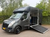 Renault Master 2011 Pferdewagen Horsetruck Pferdebus - Renault Master: 2.2