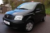 Fiat Panda 1.1 8V Active*Tüv u. Service Neu - Fiat Panda in Freiburg