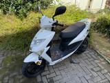 Beeline TAPO 50CCM ROLLER (2-Takter 45 km/h weiß Scooter - BEELINE ROLLER