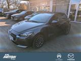 Mazda 2 L SKYACTIV-G 75 6GS AL-EXCLUSIVE - Mazda 2 in Bielefeld