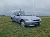 Ford Escort Coupé - Ford Escort: Sportwagen