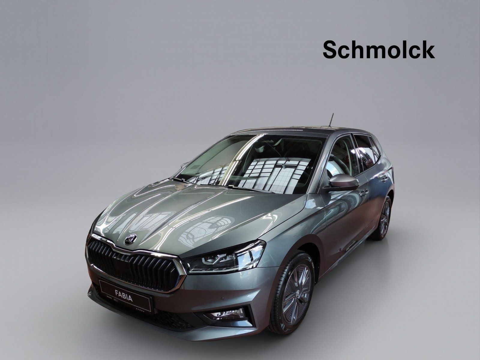 Skoda Fabia Balance 1.0 TSI DSG 116 PS LED ACC DAB PDC