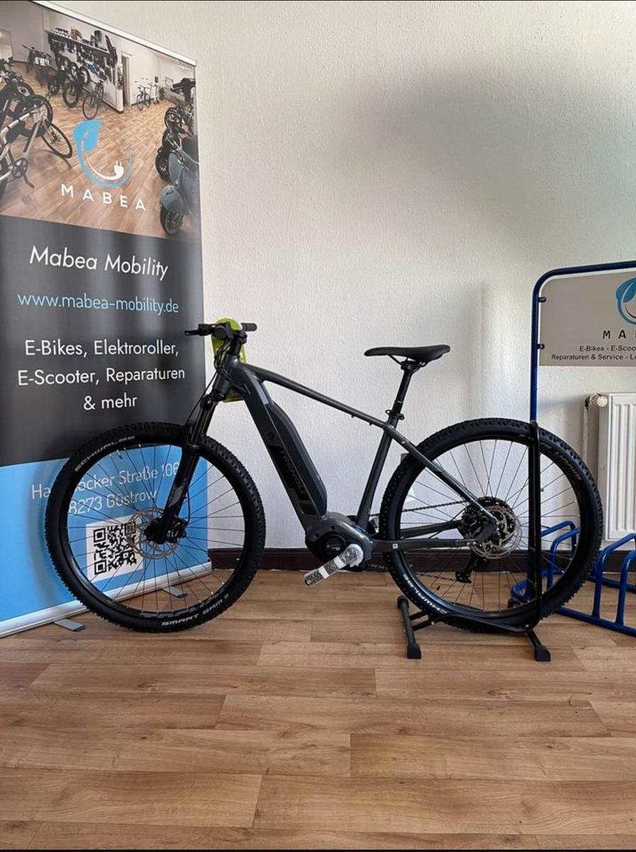 Trenoli montubo bosch E-Mountainbike