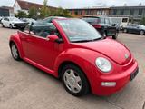 Volkswagen New Beetle 1.6 Cabriolet*TÜV NEU* - Volkswagen New Beetle: Rot