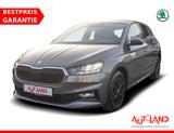 Skoda Fabia 1.0 TSI Style DSG LED Navi Sitzheizung PDC - Skoda Gebrauchtwagen in Potsdam