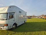Mercedes-Benz 817 gepflegter Pferdetransporter  173`km  - 817