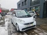Smart ForTwo Cabrio MHD Passion Standheizung - Smart ForTwo: Standheizung