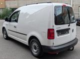 Volkswagen Caddy 2.0 TDi BMT*Automatik*AHK Regale - VW Caddy Gebrauchtwagen in Münster