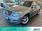 Mercedes-Benz GLK 250 CDI BlueEfficiency 4M Navi-Xenon-PTS - Mercedes-Benz GLK 250 aus 2010