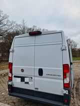 Fiat Ducato Multijet 130 DIY Campervan / Wohnmobil - Fiat Multijet ducato