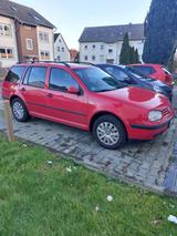 Volkswagen VW Golf Variant TDI, Motor "unkaputtbar" a... - Volkswagen Golf: TDI Motor