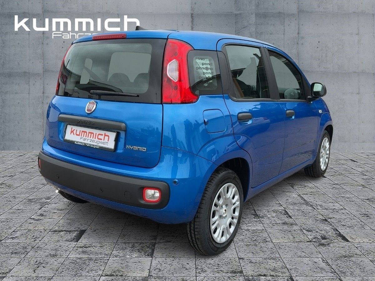 Fiat Panda - Bild 4