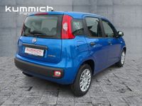 Fiat Panda - Vorschau Bild 4