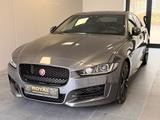 Jaguar XF R-Sport-1.Hand-ACC-Pano-Kamera - gebrauchte Jaguar XF aus dem Jahr 2019