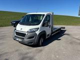 Peugeot Boxer  LKW F.FZ.-BEFOERDERUNG - gebrauchte Peugeot Boxer aus dem Jahr 2015