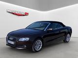 Audi A5 Cabriolet 2.0 TFSI/S-LINE/Verdeck Neu/Scheckh - Audi A5: Braun, Cabrio