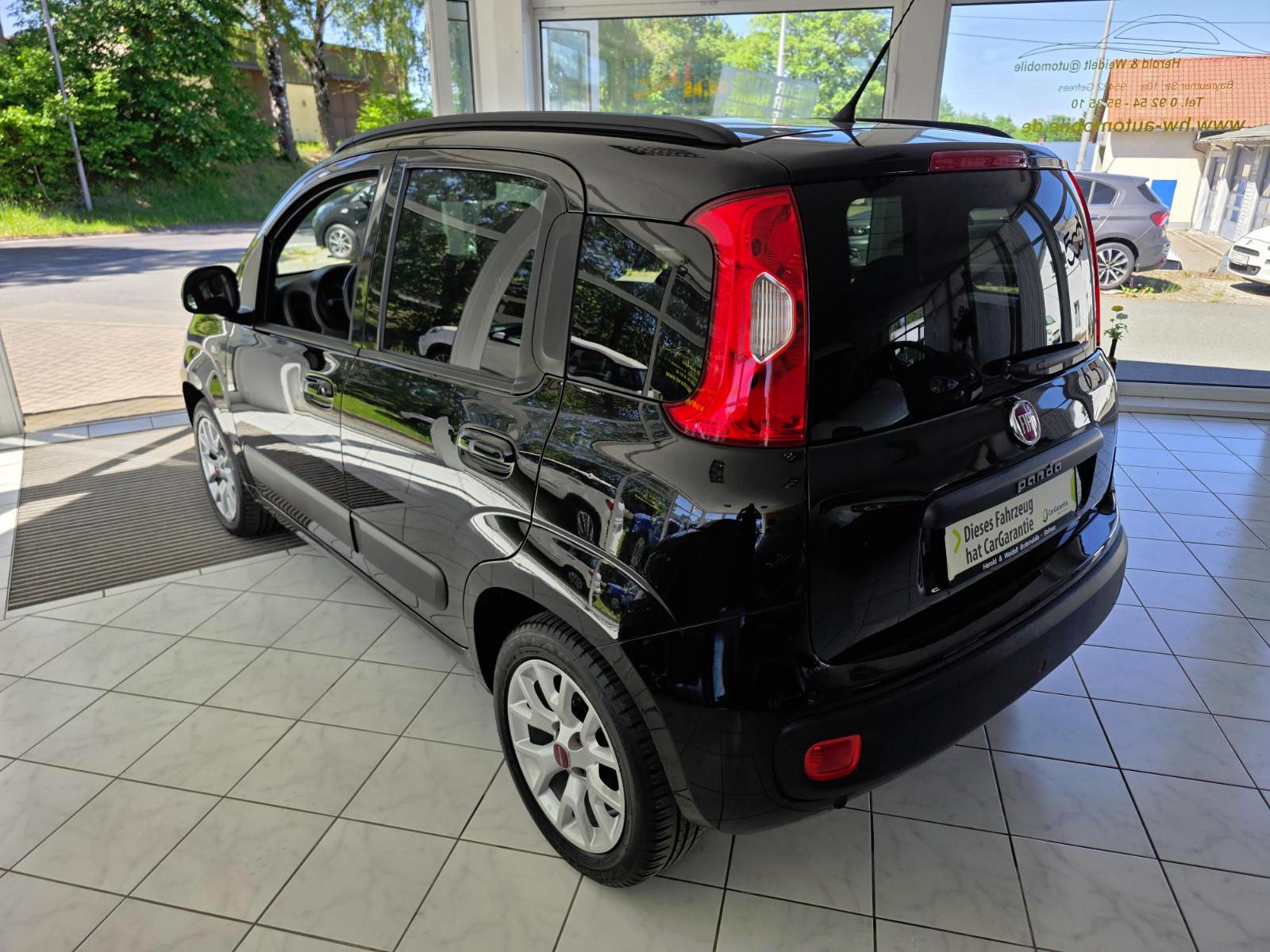 Fiat Panda Lounge Sitz- und Frontscheibenheizung