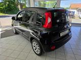Fiat Panda Lounge Sitz- und Frontscheibenheizung - Fiat Panda LOUNGE mit Benzin-Antrieb