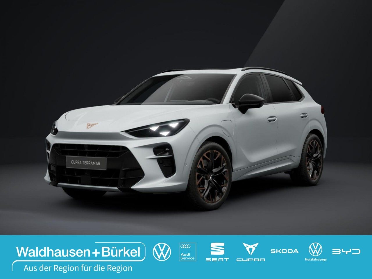 Cupra Terramar - Bild 1
