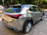 Lexus UX 250h Style Led*ACC*EU6d - Lexus UX von privat