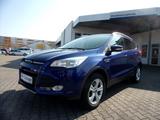 Ford Kuga Sync ZR neu, Scheckh ,WP, keyfree, ACA, GJR - Ford Kuga Sync Gebrauchtwagen