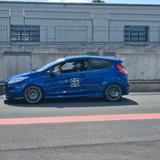 Ford Fiesta ST MK7 Tracktool Daily Fun Käf... - Ford Fiesta: Mk