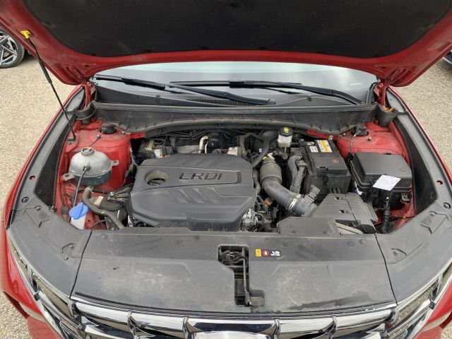 Fahrzeugabbildung Hyundai TUCSON 1.6 CRDi Prime 7-DCT Mild-Hybrid Assi ECS
