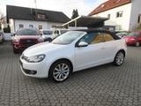 Volkswagen Golf VI TDI Cabriolet Exclusive - Volkswagen Golf mit Diesel-Antrieb: Cabrio, Automatik
