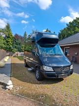 Westfalia James Cook - James cook