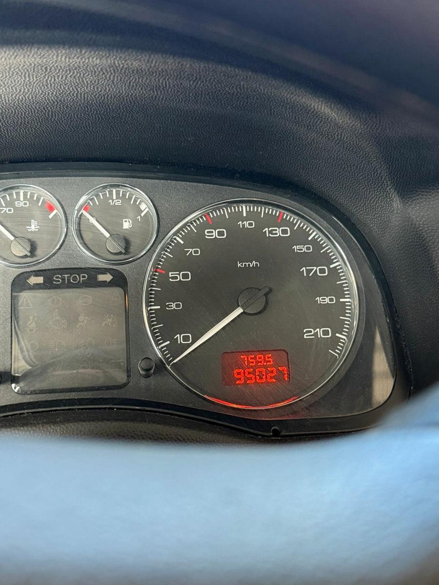 Peugeot 307 2006 — photo 7
