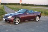 Mercedes-Benz SLK 320 - designo purpur AMG-Felgen - Mercedes-Benz: Sl Designo