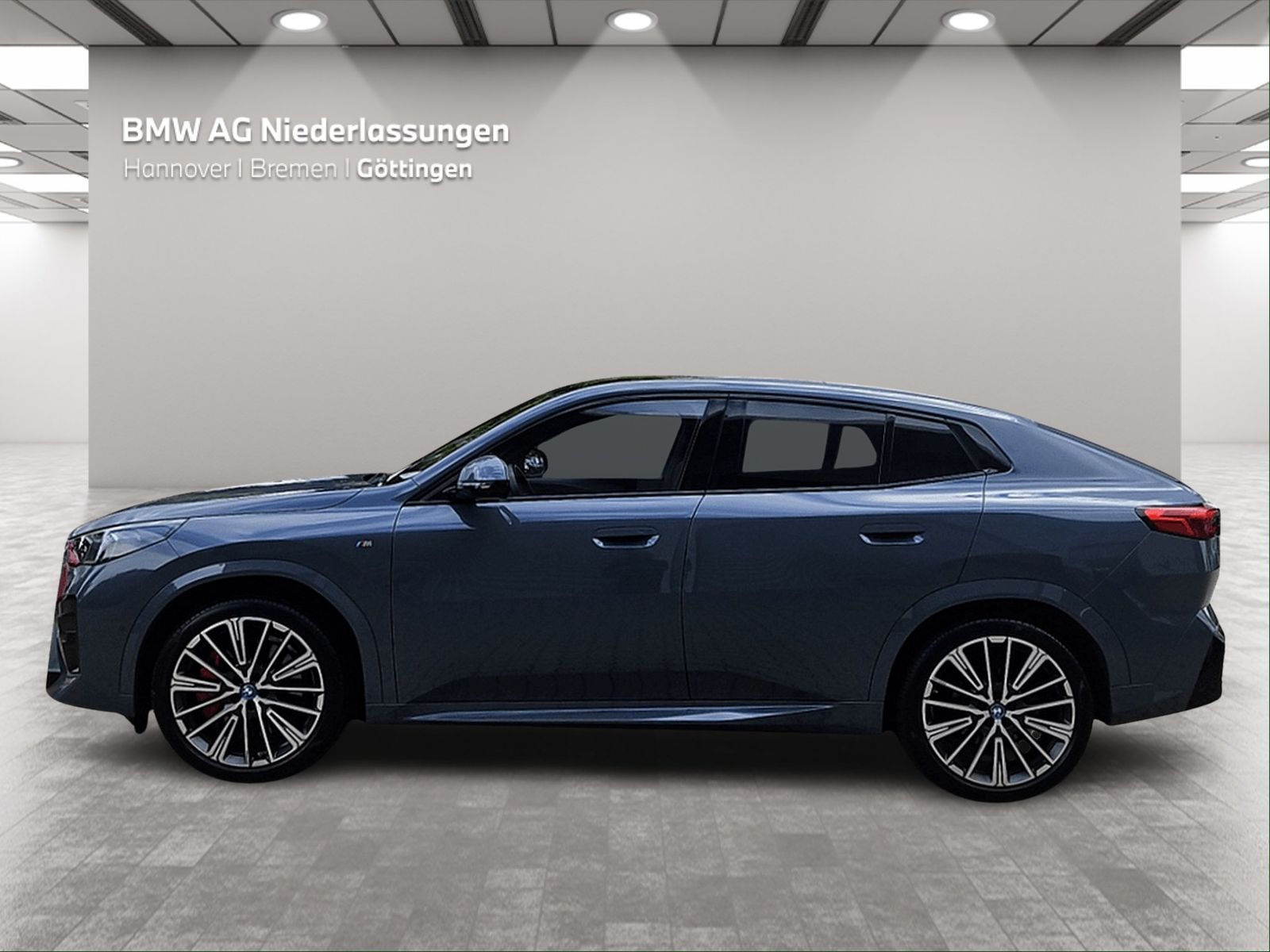 BMW iX2 xDrive30 M Sport AHK Driv.Assist.Prof LED foto 3