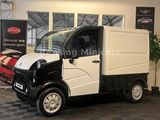 Aixam D-Truck PRO VAN KASTENWAGEN Mopedauto Microcar - Aixam: Mopedauto
