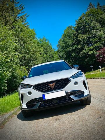 Altele Cupra Formentor 1.5 TSI DSG