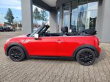 MINI Cooper Cabrio *PDC-h, SHZ, Klimaautomatik, - MINI Cooper in Augsburg