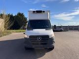 Mercedes-Benz Sprinter 316CDi I Tiefkühlkoffer I Carrier -30 - Angebote