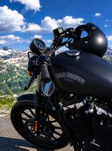 Harley-Davidson Sportster Iron - HARLEY-DAVIDSON VON 751 BIS 1000 CCM