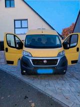Fiat Kühltransporter - Fiat Ducato Gebrauchtwagen in Nürnberg