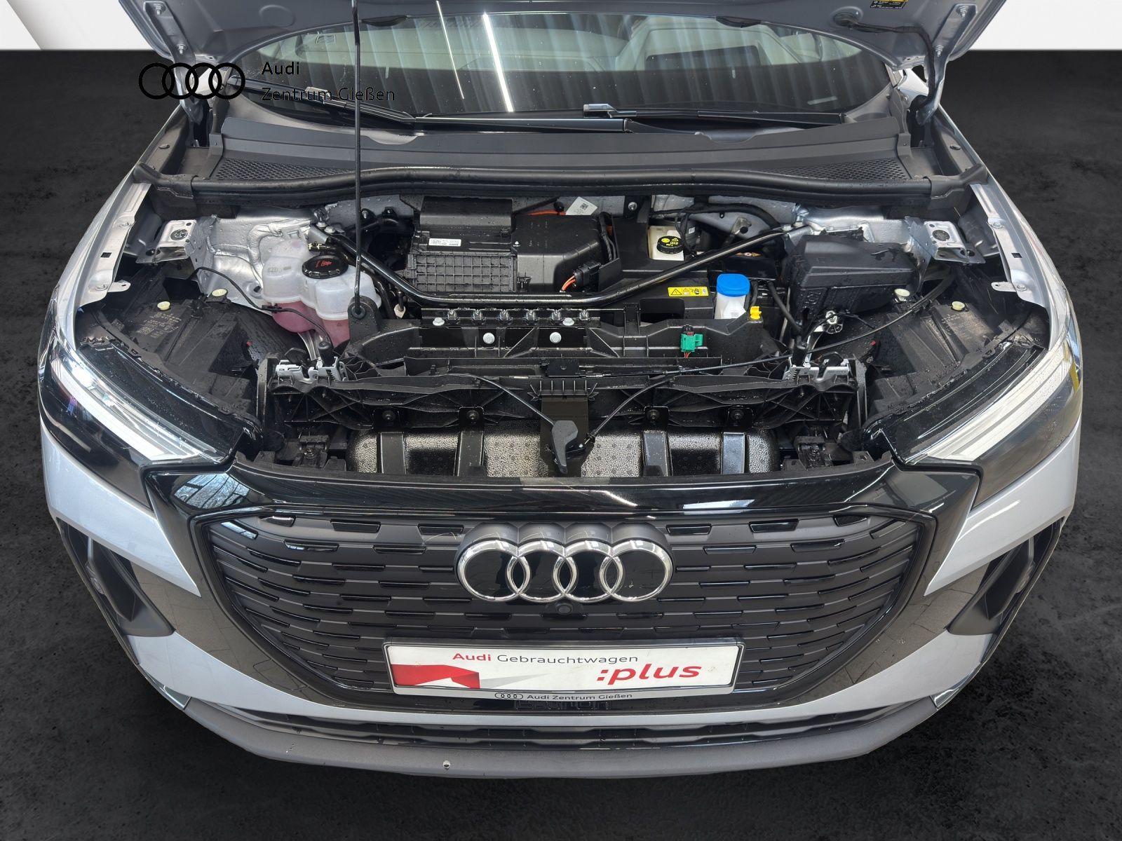 Audi Q4 e-tron - Bild 16