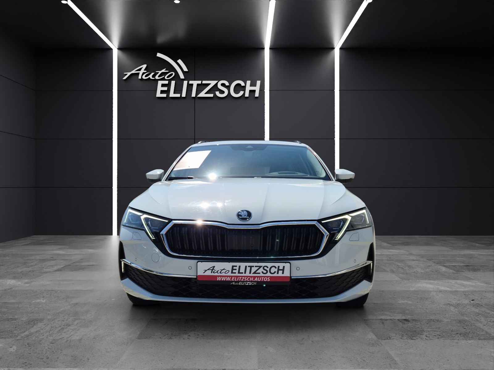 Fahrzeugabbildung SKODA Octavia Combi TDI Selection DSG Matrix Navi ACC