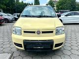 Fiat Panda 1.2 8V Climbing 4X4 *1.Hand+AHK+Allrad* - Fiat Panda: Allradantrieb, Climbing