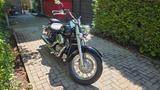 Honda Shadow VT750 C2 rc44 (Ideal für Anfänger) - Offers