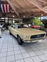 Ford Ford Mustang, Klassiker im Top Zustand! - Ford aus 1967
