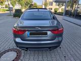 Jaguar XF 30d Portf.Autom.Absttempom.Sitzkühl.Heckrollo - Jaguar XF von privat